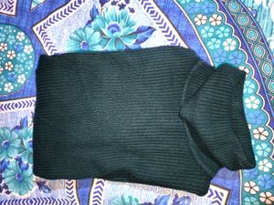Turtle Neck Top
