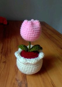 Chrochet Tulip Pot