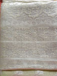 Elegant Light Green Sari with Silver Detail