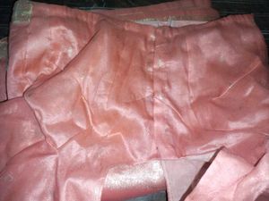Peach Saree with Gold Detailing
