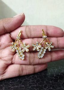 AD Golden Toned Earrings