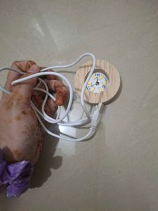 Dolphin Crystal Ball Night Light