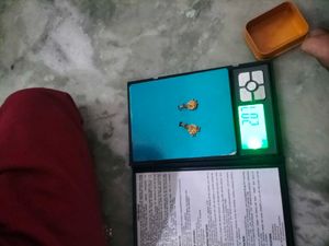 2.07g Gold Earrings