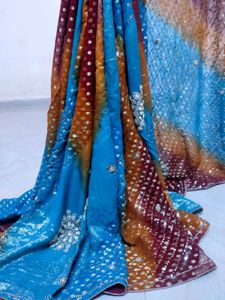 डॉलर बटा साड़ी