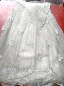 Elegant Embroidered Lehenga Set