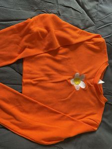 Urbanic Full Sleeve Crop Top