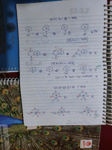 Organic Chemistry Notes