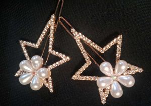 Hair Clip