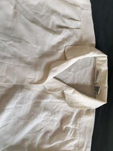 Professional Shirt