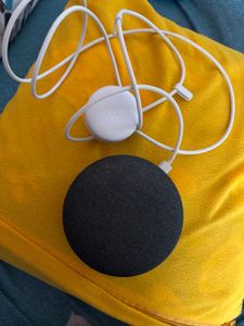 Google Mini
