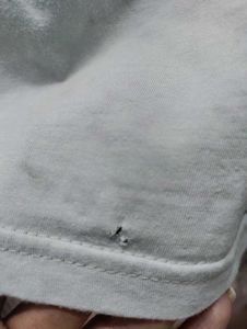 Light Blue T Shirt