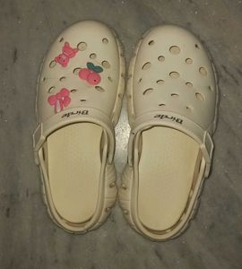 ✨️White Birde Crocs💟