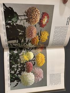 The Time life Encyclopedia Of Gardening