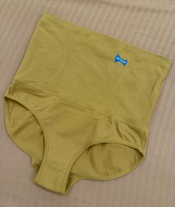 Dermawear High Waisted Brief Shapewear