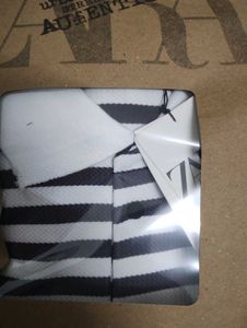 Striped Polo Shirt