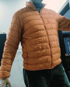 Stylish Uniqlo Orange Jacket