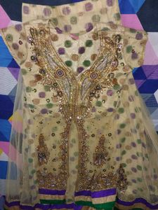 Embroidered Lehenga Choli