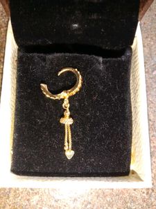 Gold Dangle Earrings