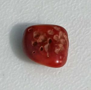 Real Red Coral