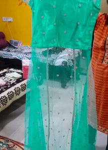 Elegant Green Indian Dress