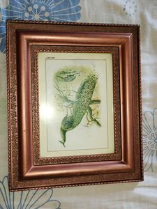 Framed Peacock Print🎉🎊🎊