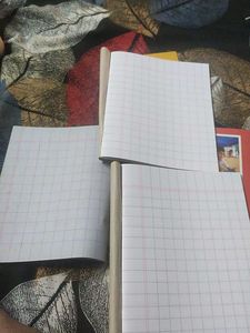 Cartoon Notebooks (Set of 4)