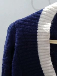 Navy V-Neck Sweater