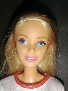 Barbie Doll with Accessories