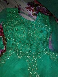 Elegant Green Embellished Ethnic Gown