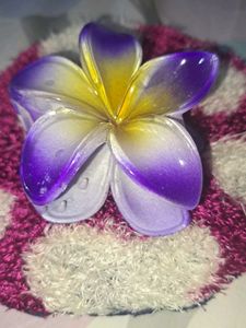 Flower Hair Clips (Set of 3)