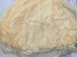 Elegant Party Dress | Used only 2-3 times
