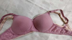 Set of 4 Daily Wear Padded Bra