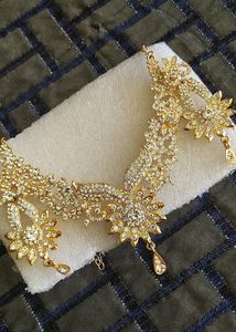 Beautiful Shinny Necklace