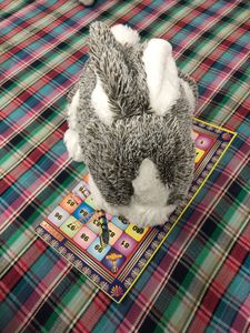 Rabbit Stuff Toy