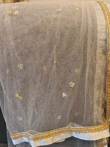 Elegant Net Dupatta