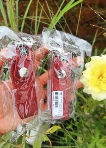 Pack Of 2 ❤️ Tira 🍒 Lipstick Holder &amp; Keychain✨