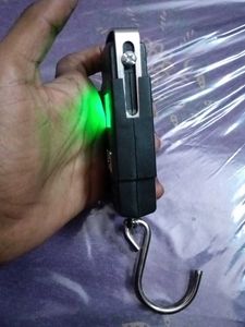 Digital Hanging Scale