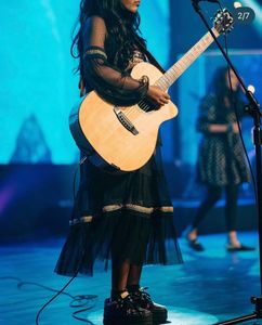 Zara Black Embroidered Mesh Dress