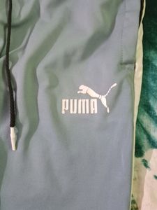 New Pant