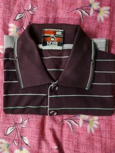 Striped Polo Shirt