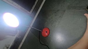 Red Desk Lamp