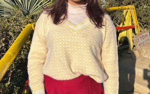 Cozy Knit V-Neck Sweater