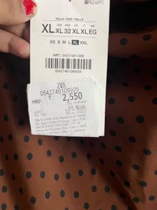 Zara Brown Polka Dot Maxi Skirt