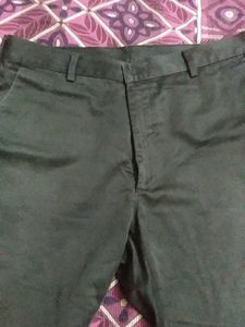 Formal Pant 36 Inches