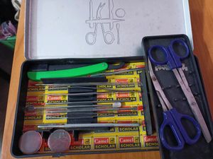 Camlin Dissection Box