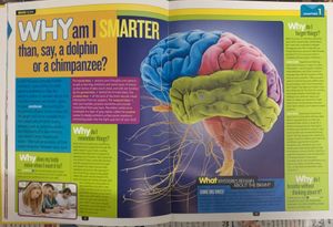 National Geographic Kids: Why? Answers to Everythi