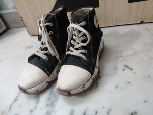 Converse Sneakers