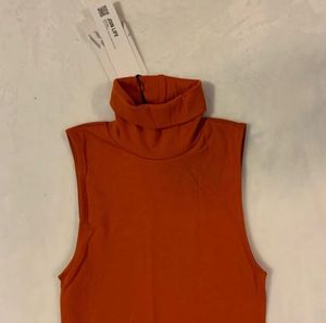 Zara Turtleneck Fitted Dress
