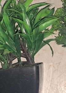 Artificial Plant Decor