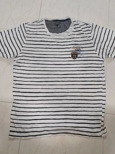 Buffalo Striped Graphic T- Shirt